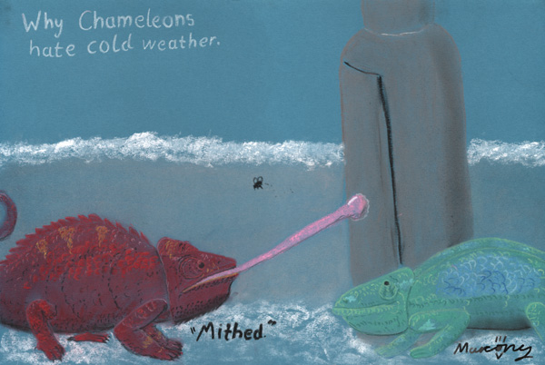 Why Chameleons hate the cold...